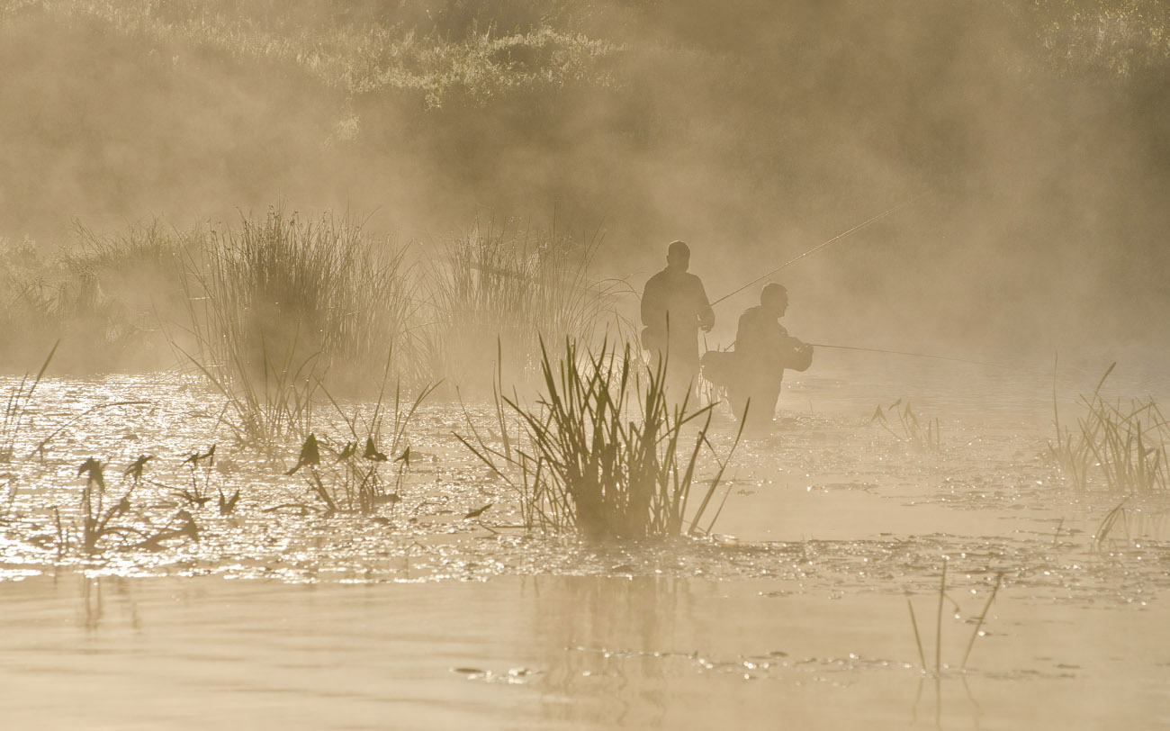Der frühe Vogel fängt ...