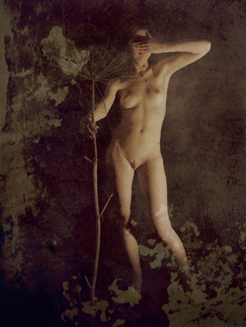 Lyanok und Bärenklau