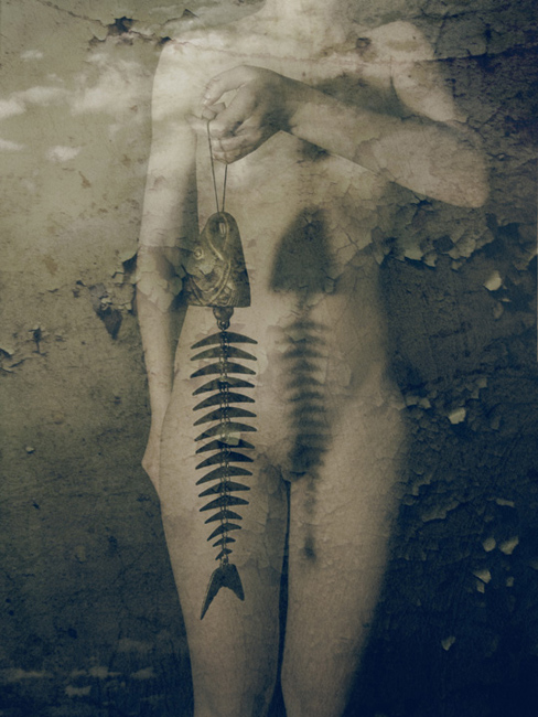 In den Träumen des Meeres ...