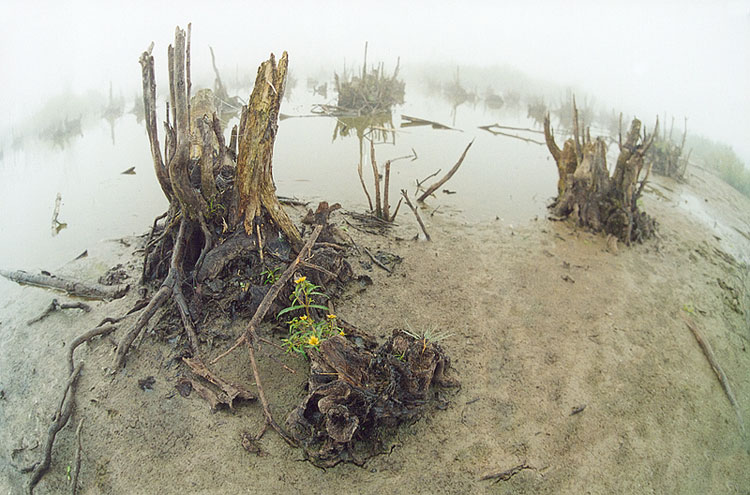 Der Besitz des Goblin