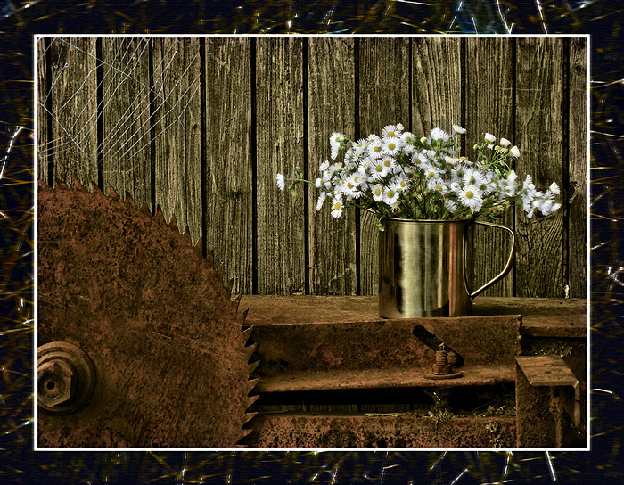 Sieg im Kampf gegen die Übermacht .........