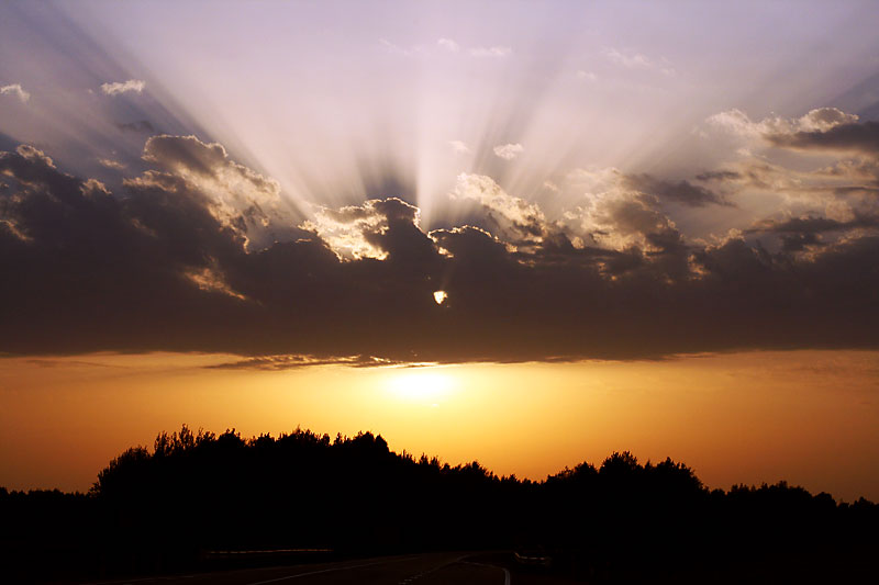 Auf dem Weg nach Hause