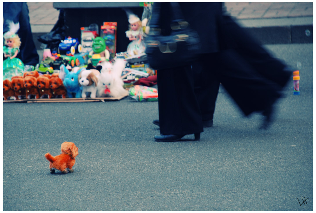 Sono vivente! Portami a casa... per favore...