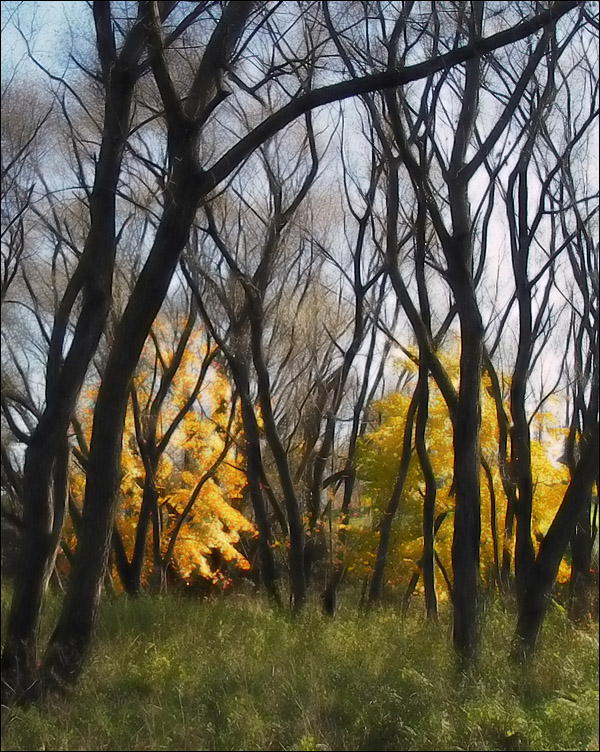 Herbst spielt Verstecken ...