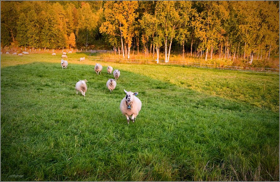 Guys, let's go schießen!