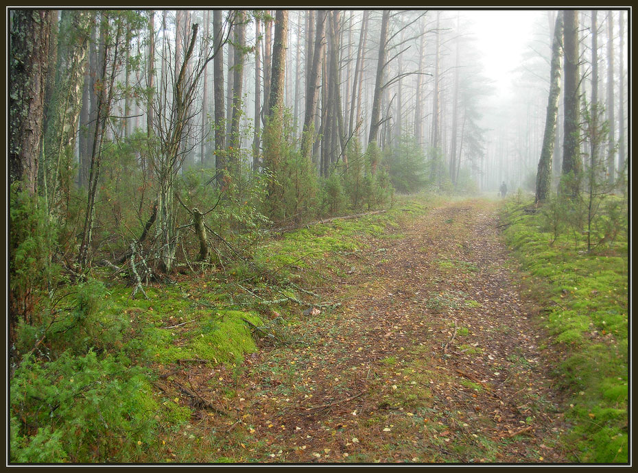 Herbst in Zeiten ...