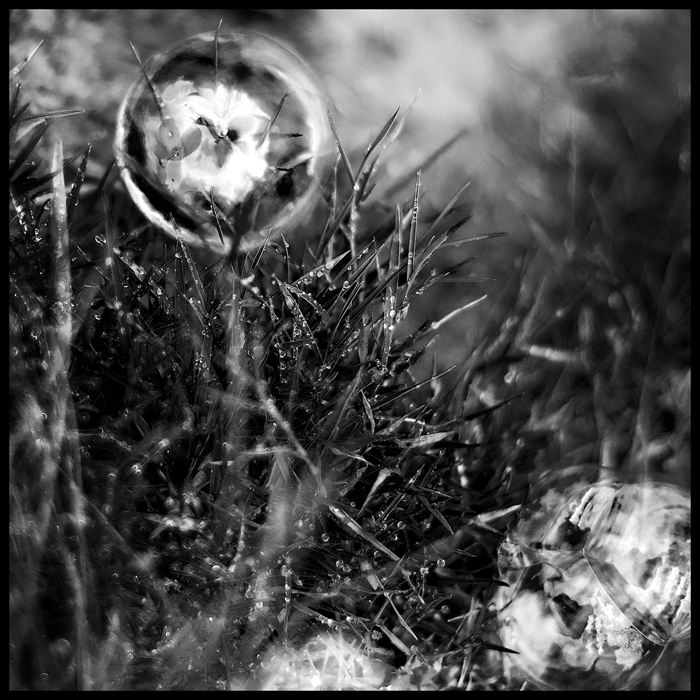 Imaginations of soap