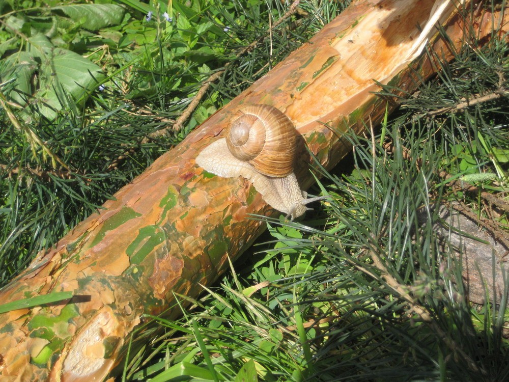 Auf der Suche nach Obdach