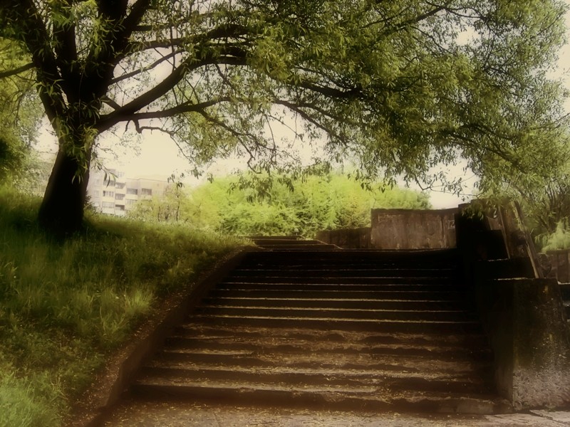 der Ansatz der Herbst