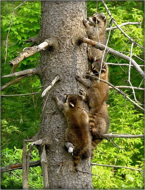 vierten einmal, runter!