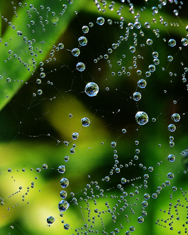 Gegen Konstellationen fernen Welten ..