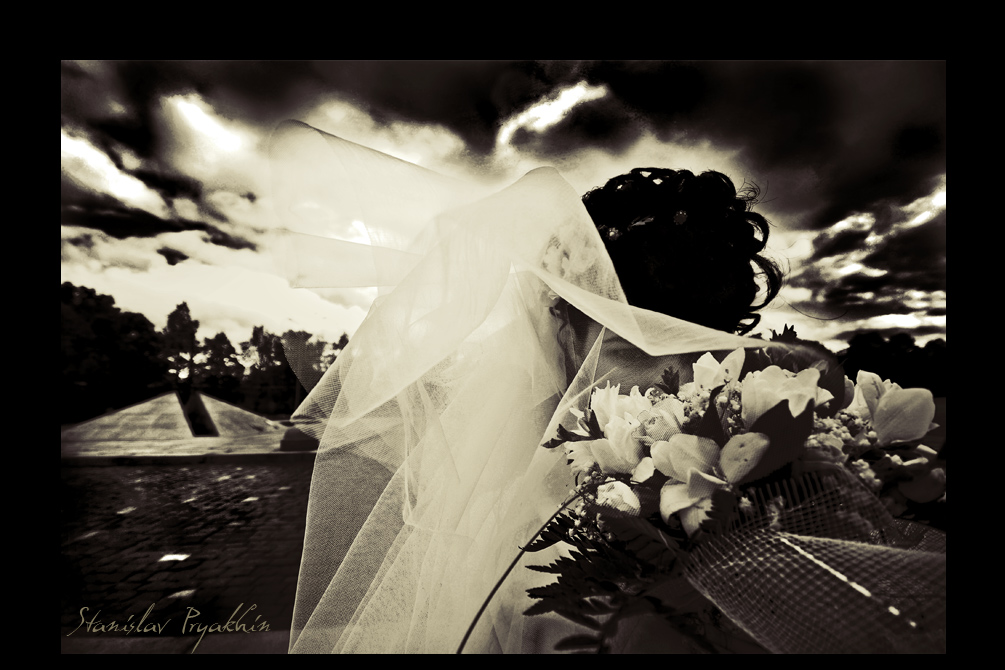 Flitterwochen Träume ..