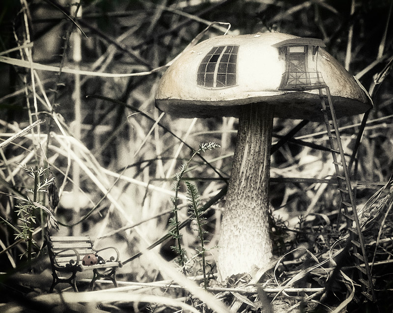 Aus dem Leben der Menschen Pilz ..