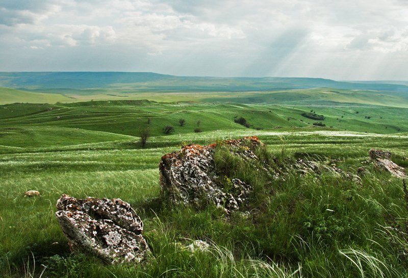Steppe. Nordkaukasus.