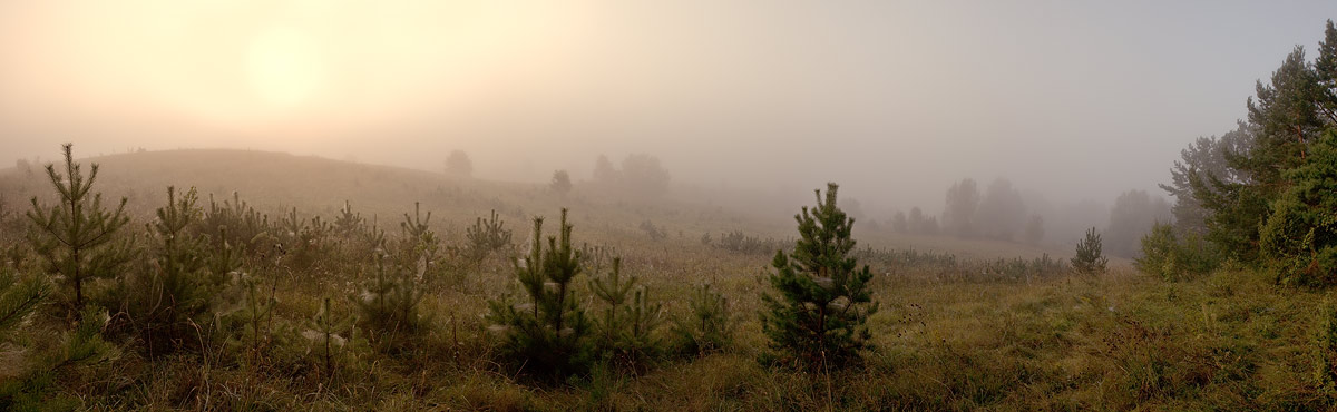 Foggy Landschaft