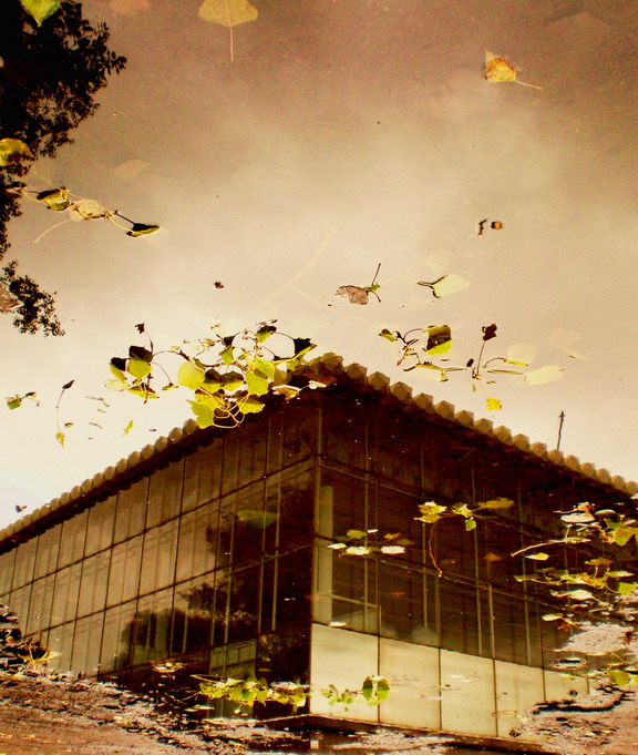 Floating House of Flying Blätter