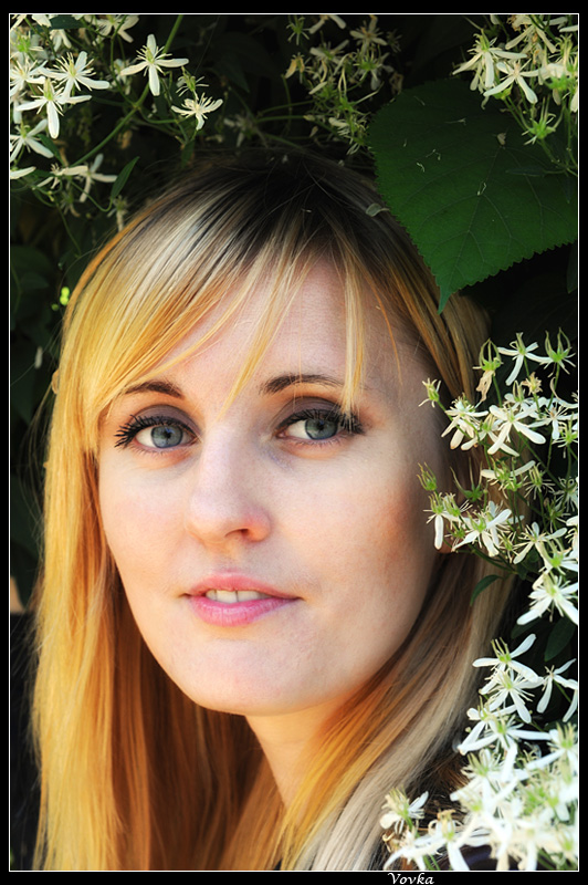 zwischen den Büschen ...