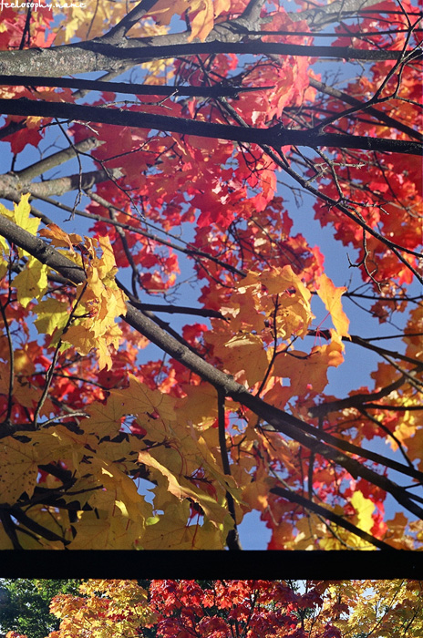 Verpassen Sie nicht diesen Moment, bis er von Filmmaterial ersetzt