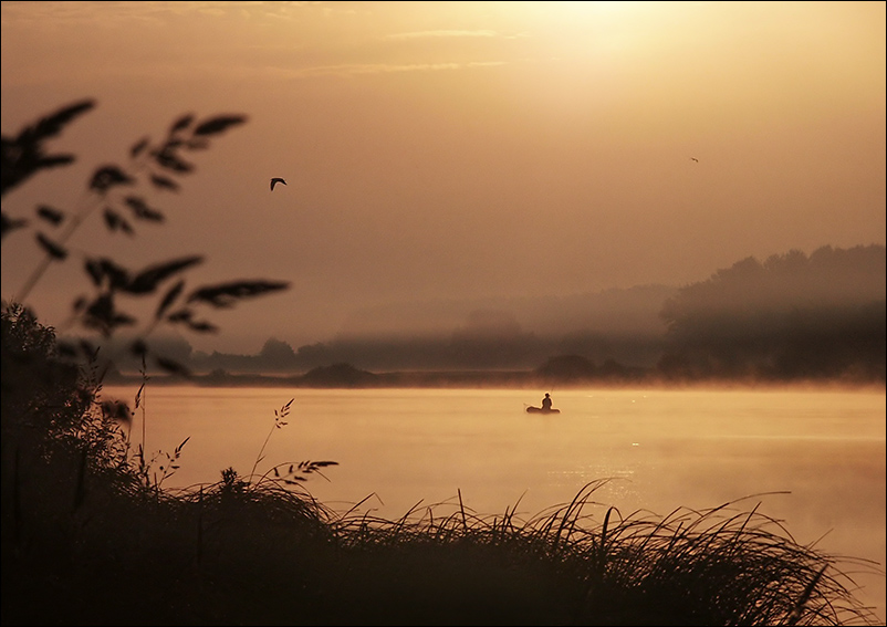 Ein Fischer auf dem "Frischmilch" # 1
