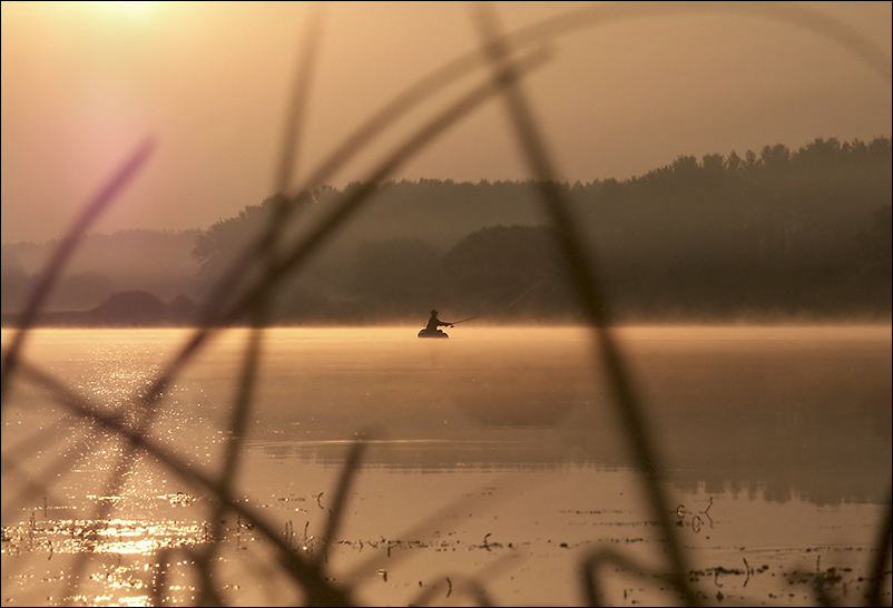 Ein Fischer auf dem "Frischmilch" # 2