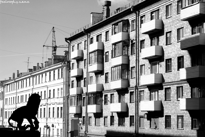 Entkam Löwen verloren in der Stadt