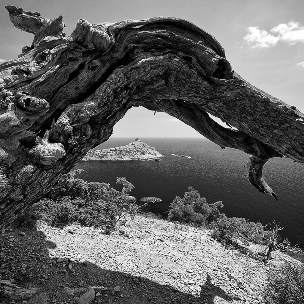 Dragons Kap "Kapchik"