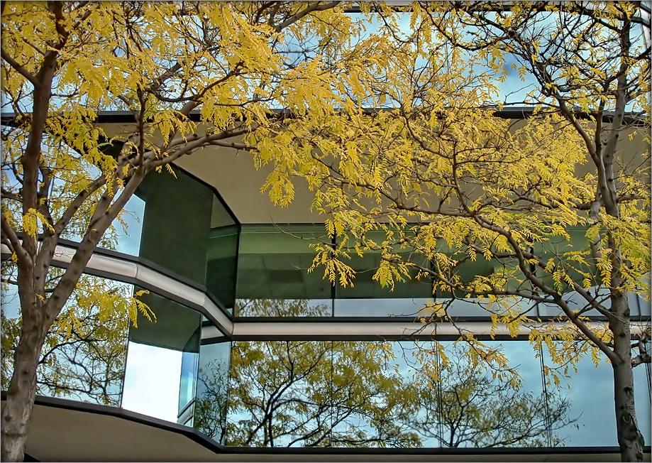 kalyandarny Haltung. Verasen