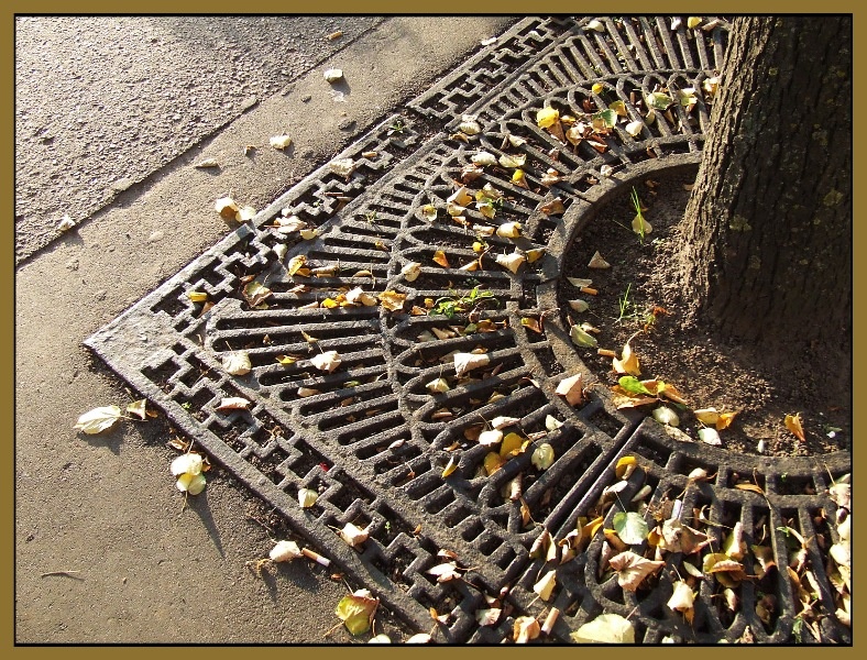 Der Herbst ist meine Stadt