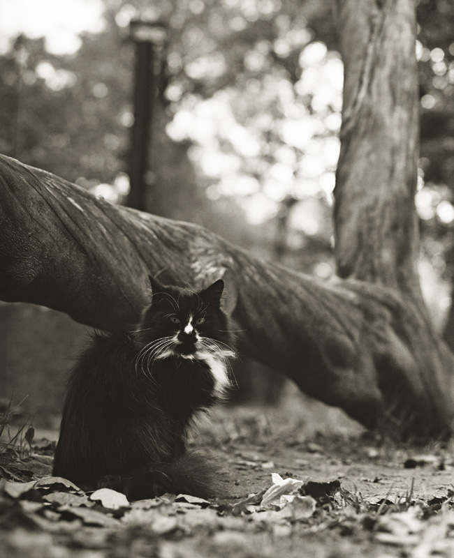 ".. Tag und Nacht, männliche Wissenschaftler .."