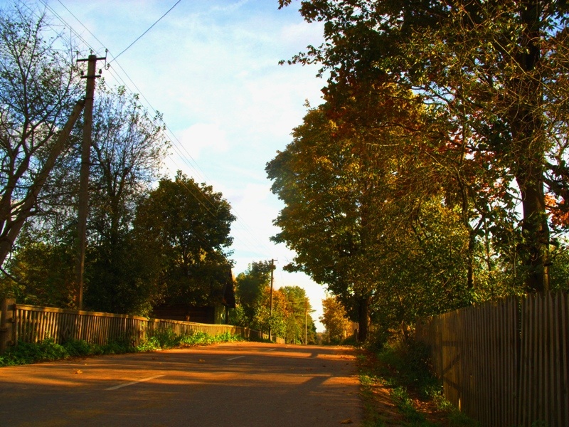 Herbst auf der Dorfstraße