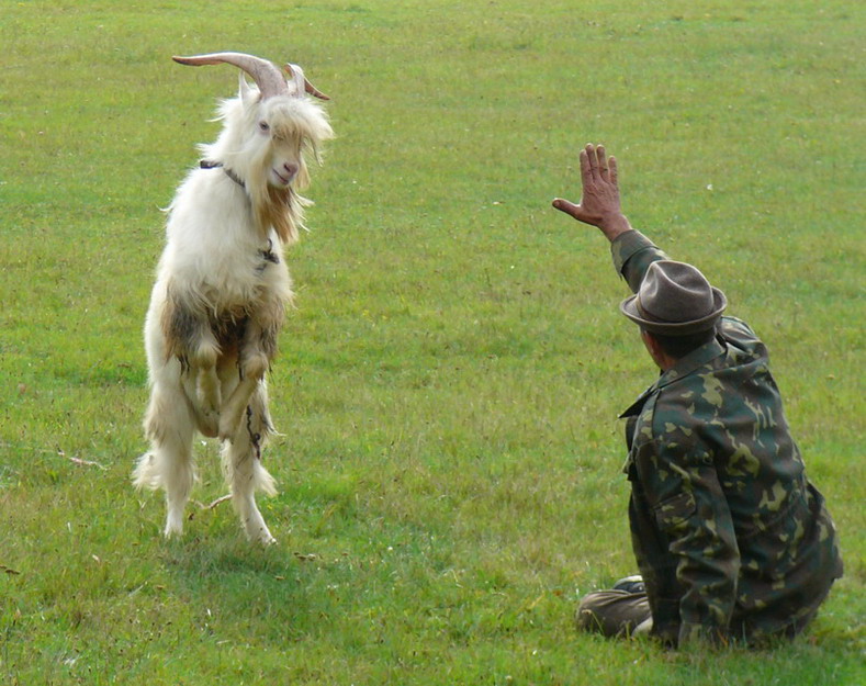 Karatsupa Ruhestand ...