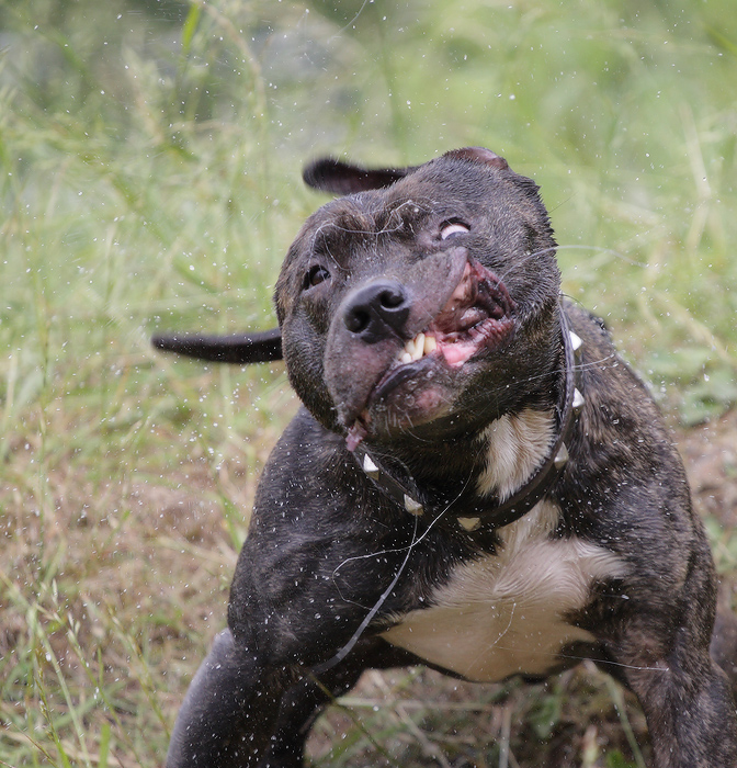 Diese Jungs ihre geniest!