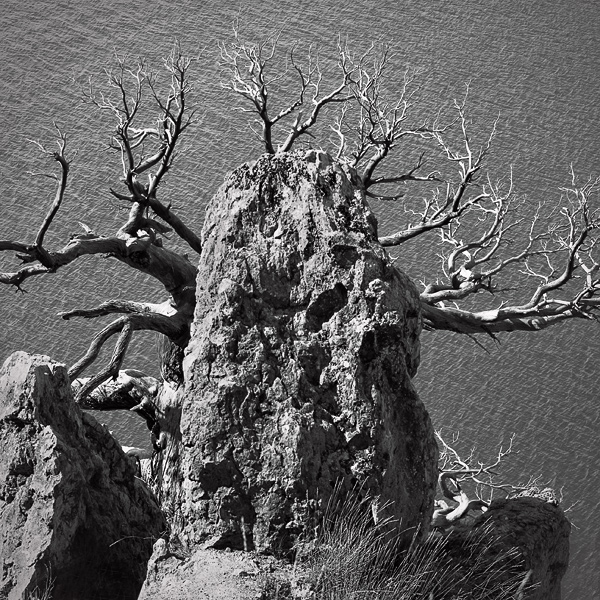 Mighty Alte Weisen "Shiva"