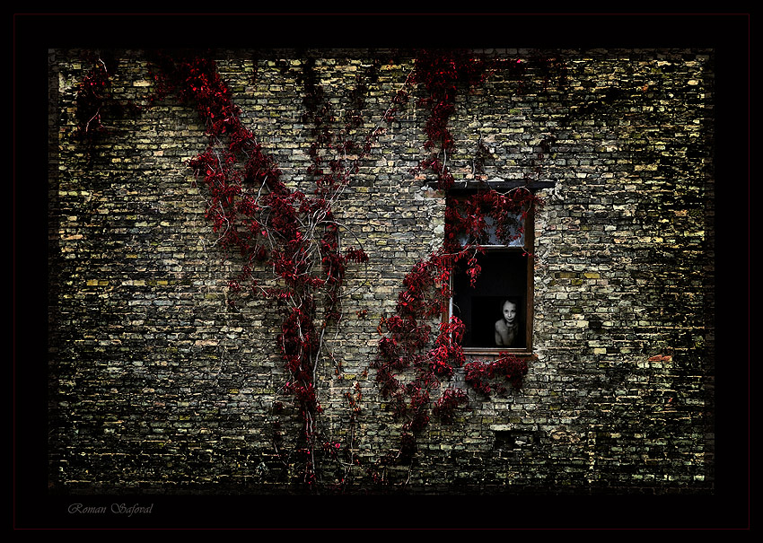 Herbst jeder ist anders .... oder das letzte Stück (von O. Henry)