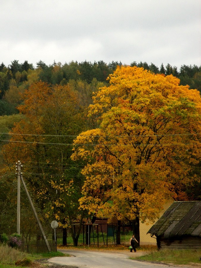 Belarussischen Schweiz