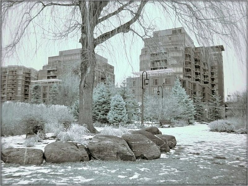 .. Zhyvu chakannem snegu ..