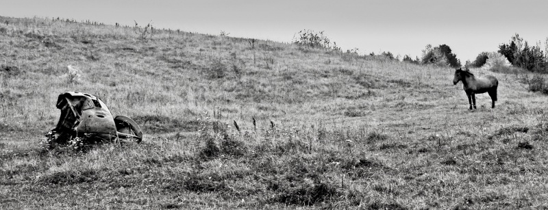 Reflexionen über die Eisen beste Freund des Menschen
