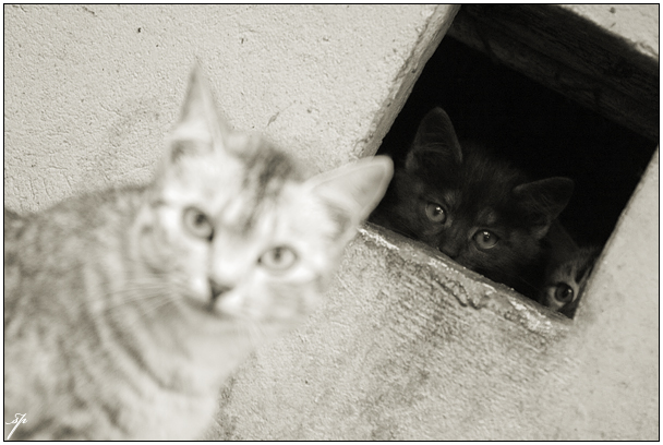* Lassen Sie meine Mutter aussortieren zuerst ein ... nur dann sind wir ...*