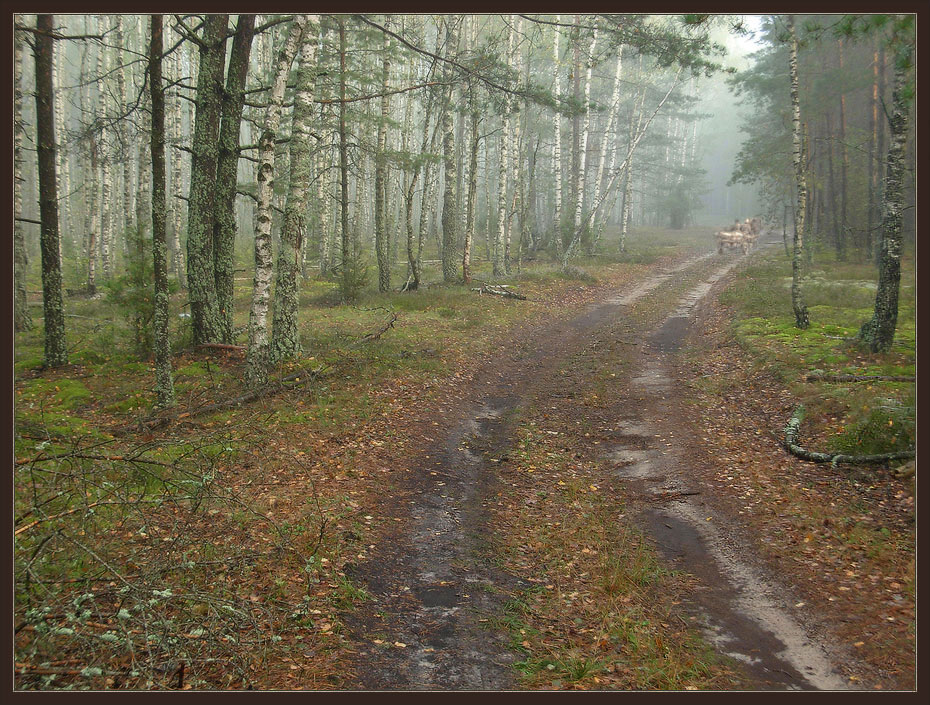 Zyamlya Pad belymi krylami