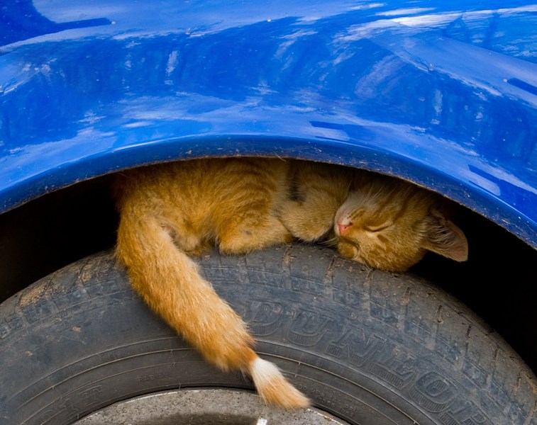 lief die ganze Nacht ...