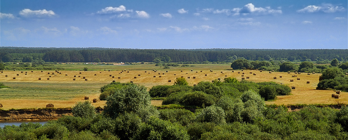 auf der anderen Seite