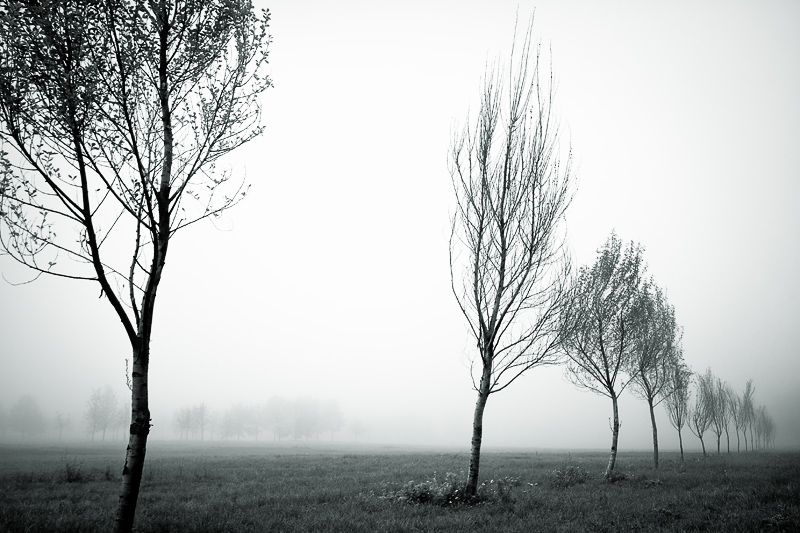 Zeit, als der Nebel wird immer