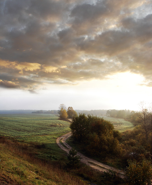 Auf der Straße im Nebel