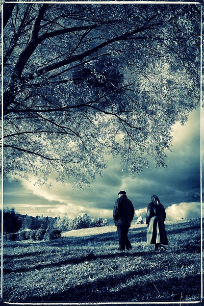 Wieder ... Herbst ...