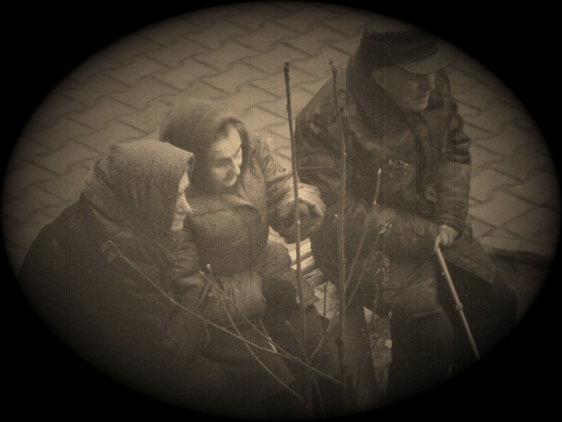 Lucy hey Flüge gibt es Clowns