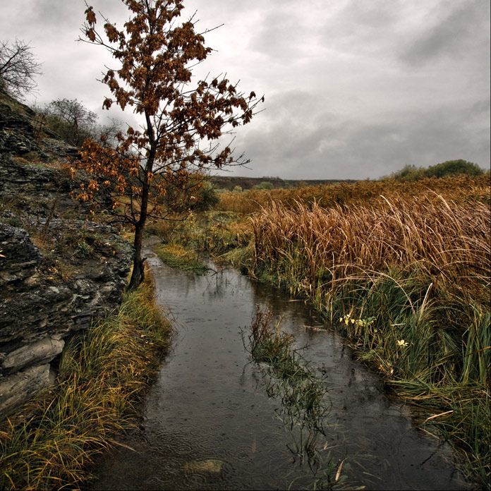 Herbst Impressionen-8