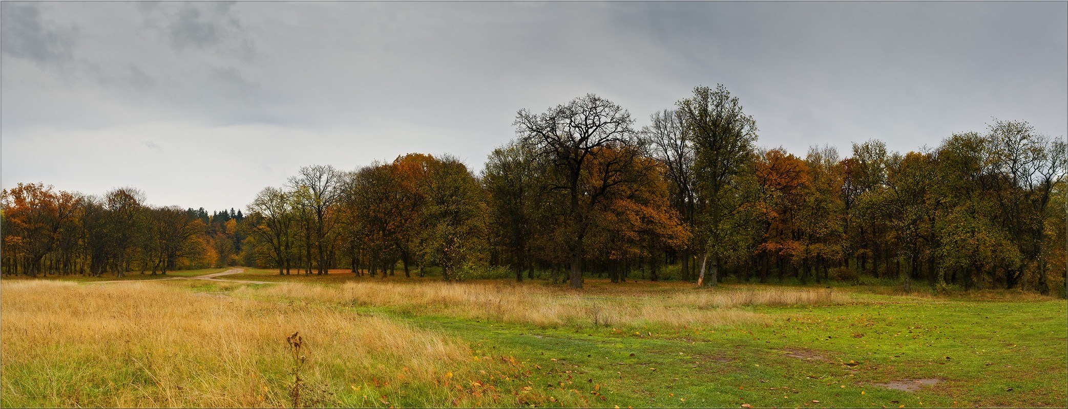 Road im Herbst Wald. Oder von den herbstlichen Wald.