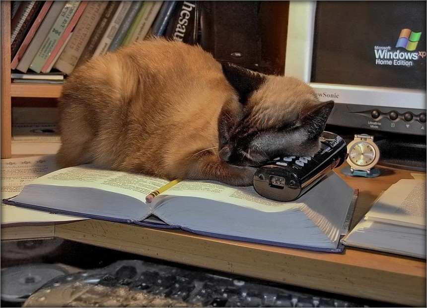 Stirlitz wusste, dass nach 20 Minuten, ihn zu wecken .....