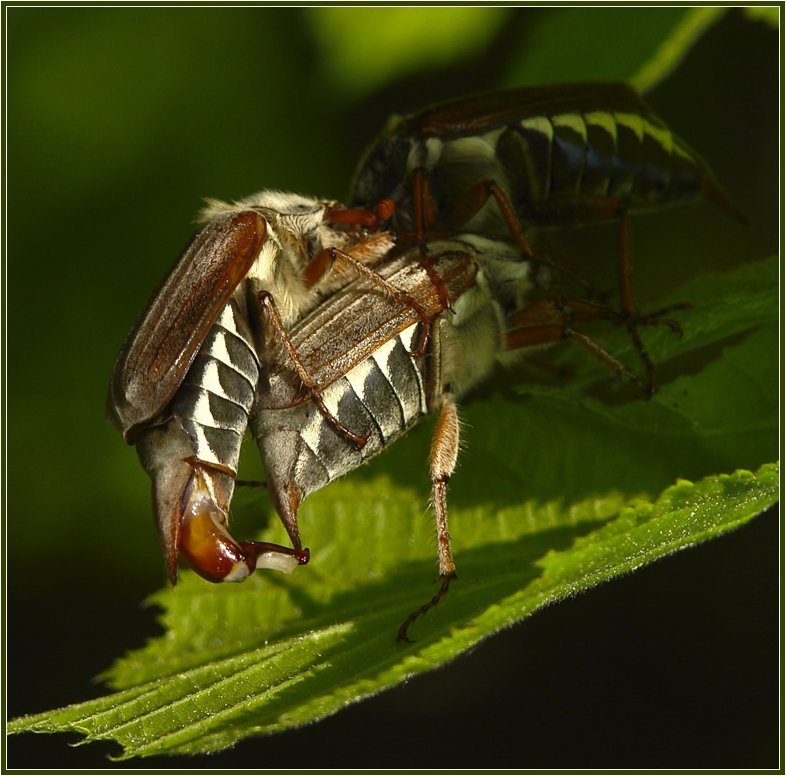 Jemand ging früher von einer Reise
