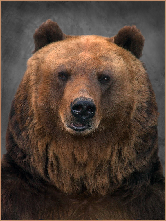 Portrait von Michael Potapich